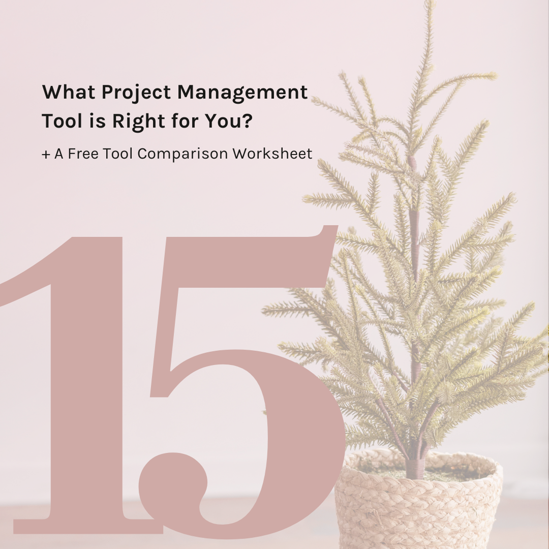 What Project Management Tool is Right for You?